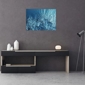 Sklenený obraz - Kvapky rosy (70x50 cm)
