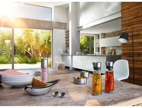 Set na dochutenie Blomus Alinjo, 150 ml