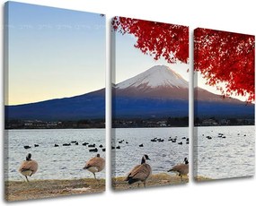 Obraz na stenu 3 dielny KRAJINA KR004E30