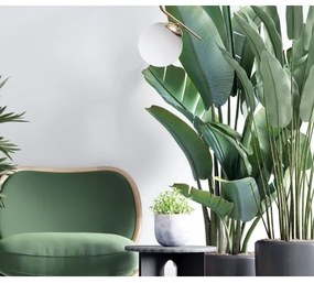 Luster na lanku FIRA 1xE27/60W/230V zlatá