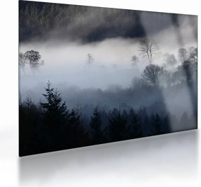 Sklenený obraz hmly nad lesom (70x50 cm)