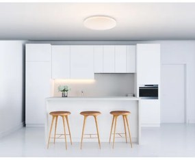 GLOBO 41003-20 - LED Stropné svietidlo TARUG 1xLED/20W/230V