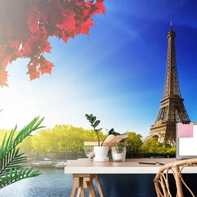 Samolepiaca fototapeta jesenný pohľad na Eiffelovu vežu