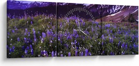 Obraz - Sopka a kvety (s hodinami) (90x30 cm)