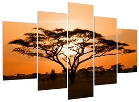 Obraz africkej savany (150x105 cm)