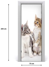 Samolepiace fototapety na dvere Dve malé mačky 75x205 cm