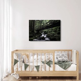Obraz z čierneho lesa (90x60 cm)