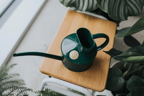 HAWS Krhlička na polievanie Fazeley Flow Green – 700 ml
