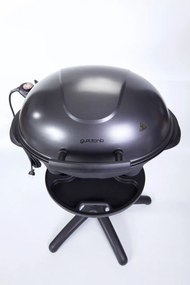 Gril Guzzanti GZ 345