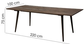 Jedálenský stôl v dekore brestu 100x220 cm Bone – DAN-FORM Denmark