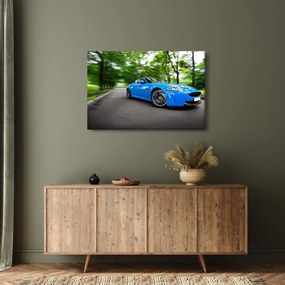 Obraz - Závodné auto (90x60 cm)