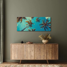 Obraz - Vysoké palmy (120x50 cm)