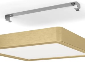 Eglo 900183 - LED stropné svietidlo FUEVA LED/17W/230V