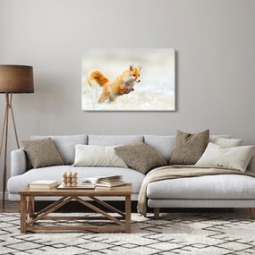 Obraz - Skákajúca líška (90x60 cm)