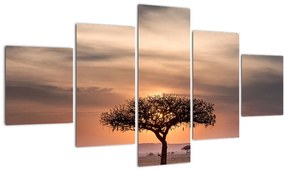 Obraz západu slnka v Tanzánii (125x70 cm), 40 ďalších rozmerov