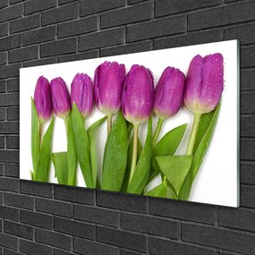 Obraz na skle Tulipány kvety rastlina 120x60 cm