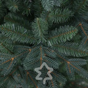 Smrek Strieborný 180 cm