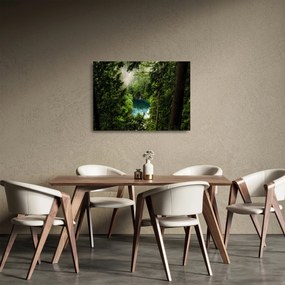 Sklenený obraz - Priezor medzi stromami (70x50 cm)