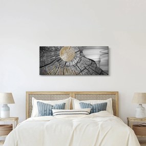 Obraz - Kmeň stromu v koláži (120x50 cm)