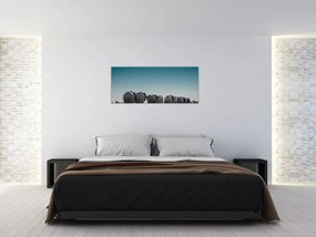 Obraz - Odchod slonov (120x50 cm)