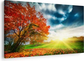 Obraz krajiny zaliate slnečným svitom (90x60 cm)