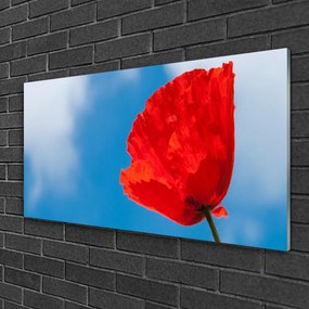 Obraz na skle Tulipán 100x50 cm