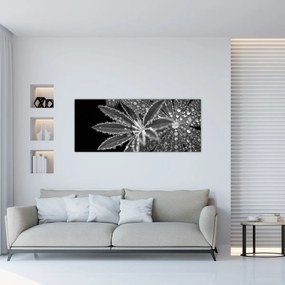 Obraz - Kvapky (120x50 cm)