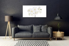 Skleneny obraz Biela orchidea kvety 140x70 cm