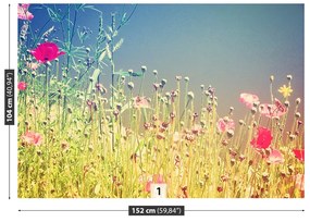 Fototapeta Vliesová Vintage kvety 416x254 cm