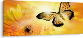 Obraz - Žltý motýľ s kvetom (120x50 cm)