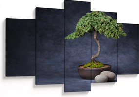 Obraz - Bonsai (150x105 cm)