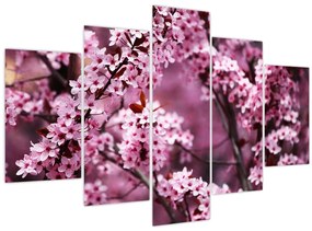 Obraz - Ružová sakura (150x105 cm)