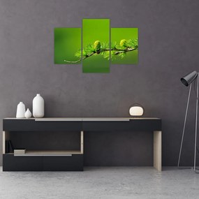 Obraz zelenej šišky (90x60 cm)
