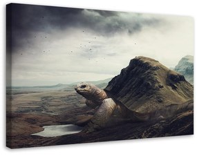 Gario Obraz na plátne Obrovská korytnačka v púšti - Patryk Andrzejewski Rozmery: 60 x 40 cm