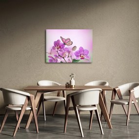 Obraz - Motýľ na kvetoch orchidey, lila (70x50 cm)