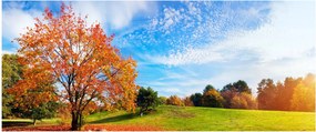 Obraz - Jesenná krajina (120x50 cm)