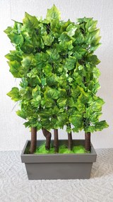 Zástena z listov viniča- 140 cm x 60 cm