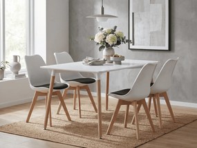 Jedálenský set 1 + 4, biely stôl ADRIA 120x80 cm + bielo-čierna stolička BALI MARK s bukovými nohami