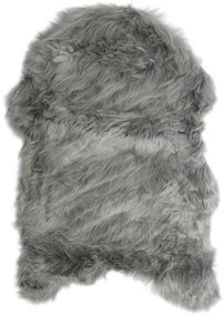 Koberce Breno Kusový koberec CLAIRE NEW sivý, sivá,60 x 90 cm