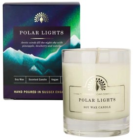 The English Soap Company Vonná sójová sviečka Polar Lights  170 ml