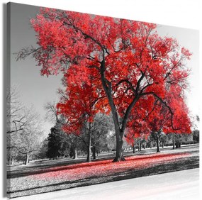 Artgeist Obraz - Autumn in the Park (1 Part) Wide Red Veľkosť: 120x80, Verzia: Premium Print