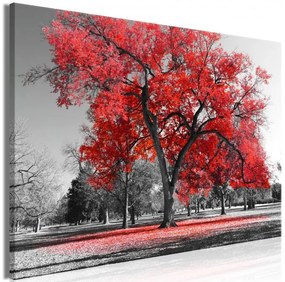 Artgeist Obraz - Autumn in the Park (1 Part) Wide Red Veľkosť: 30x20, Verzia: Premium Print