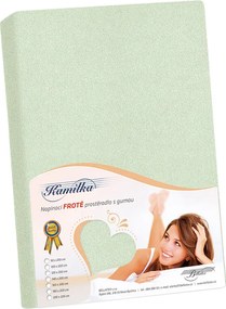 Bellatex Froté prestieradlo Kamilka zelená šalviová, 200 x 220 cm