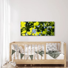 Obraz - javorové listy (120x50 cm)