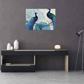 Obraz - Pávy s textúrami (70x50 cm)