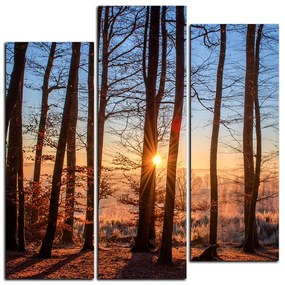Obraz na plátne - Jesenné ráno v lese - štvorec 3251C (105x105 cm)
