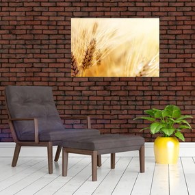 Obraz - detail obilia (90x60 cm)