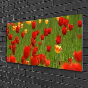 Obraz na skle Tulipány rastlina 120x60 cm