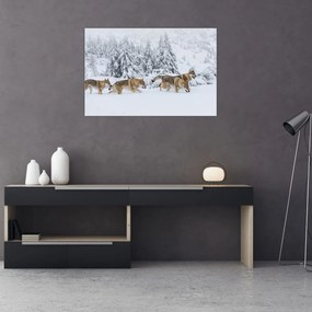 Obraz - Vlci v horách (90x60 cm)