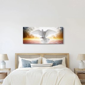 Obraz holubice (120x50 cm)